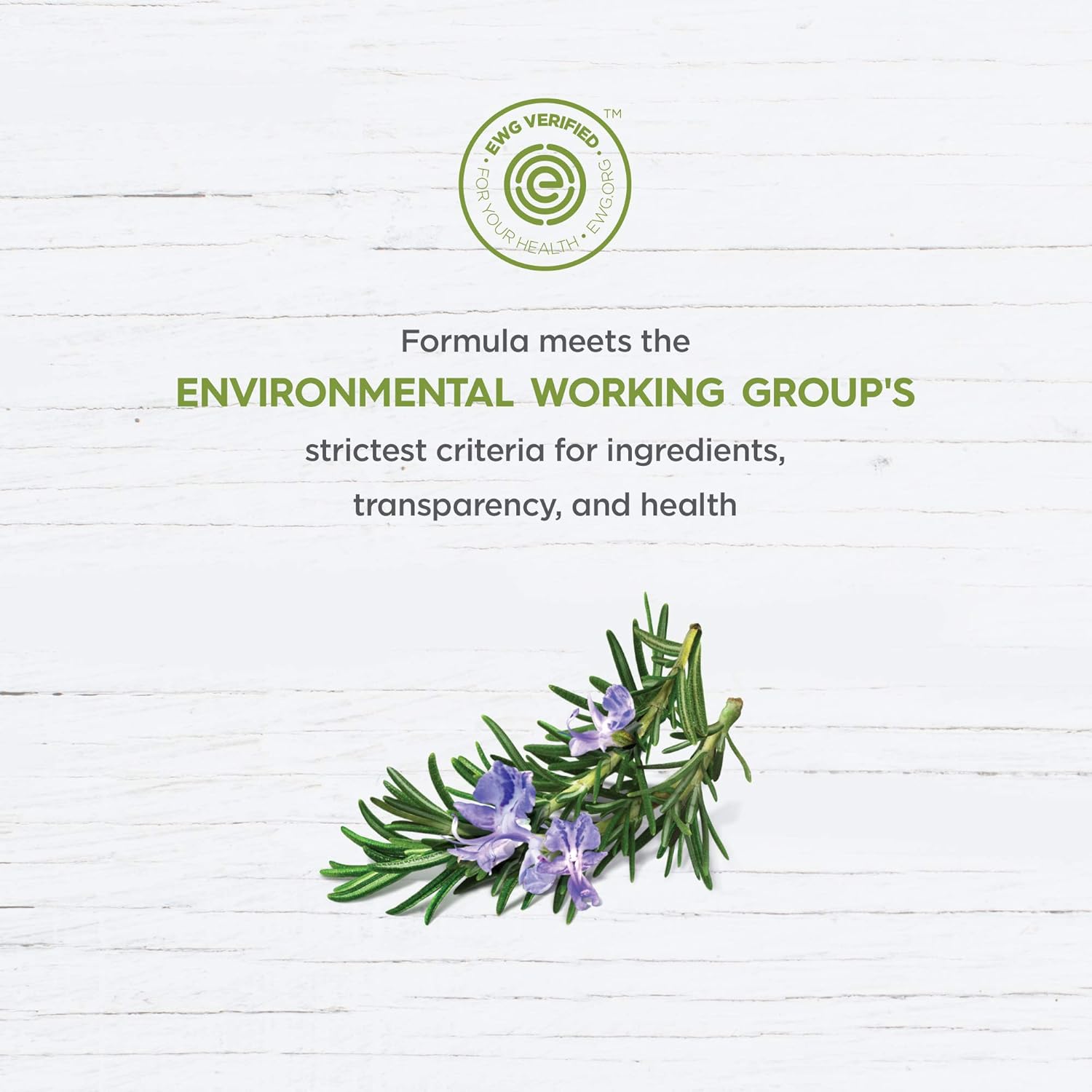 Volumizing Rosemary Shampoo | Avalon Organic® | 325 mL