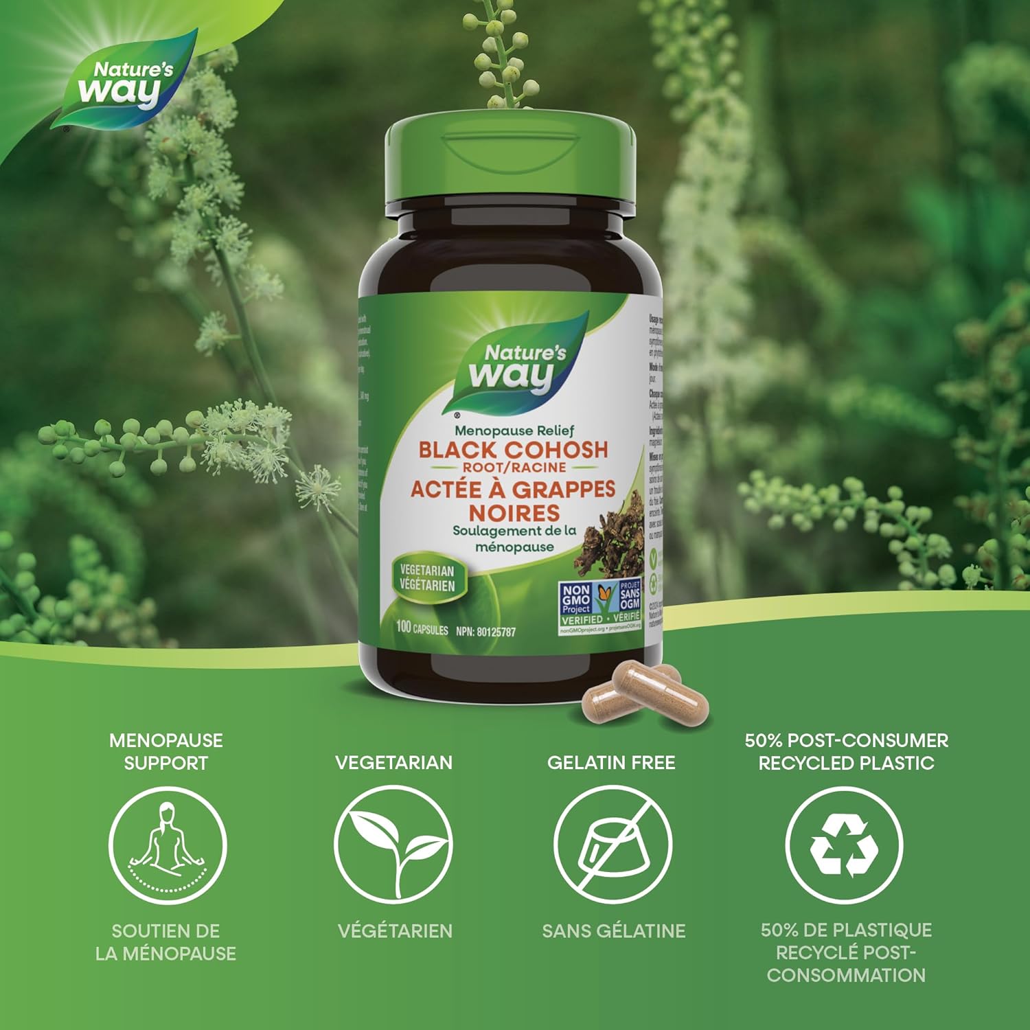 Black Cohosh Root 540mg | Nature's Way® | 100 Vegetarian Capsules