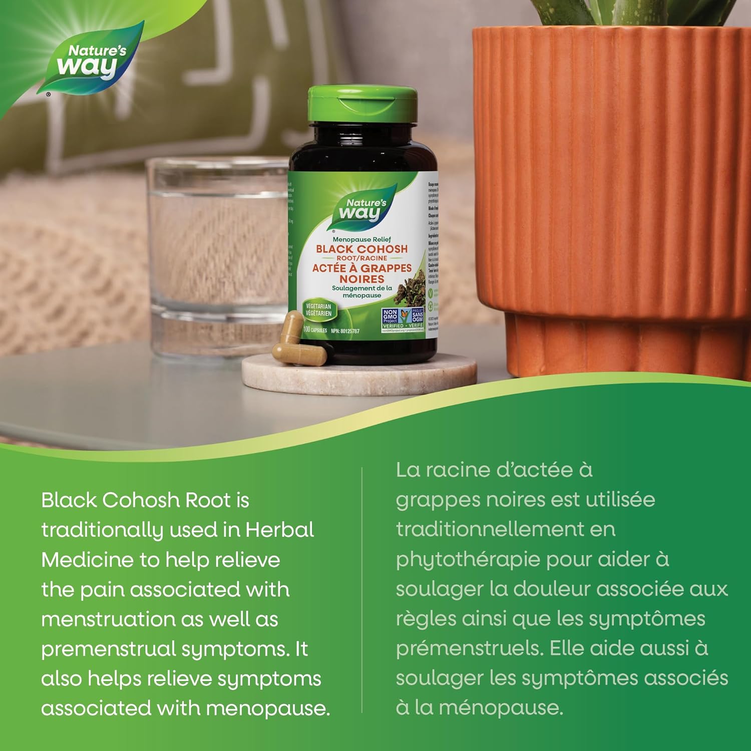 Black Cohosh Root 540mg | Nature's Way® | 100 Vegetarian Capsules