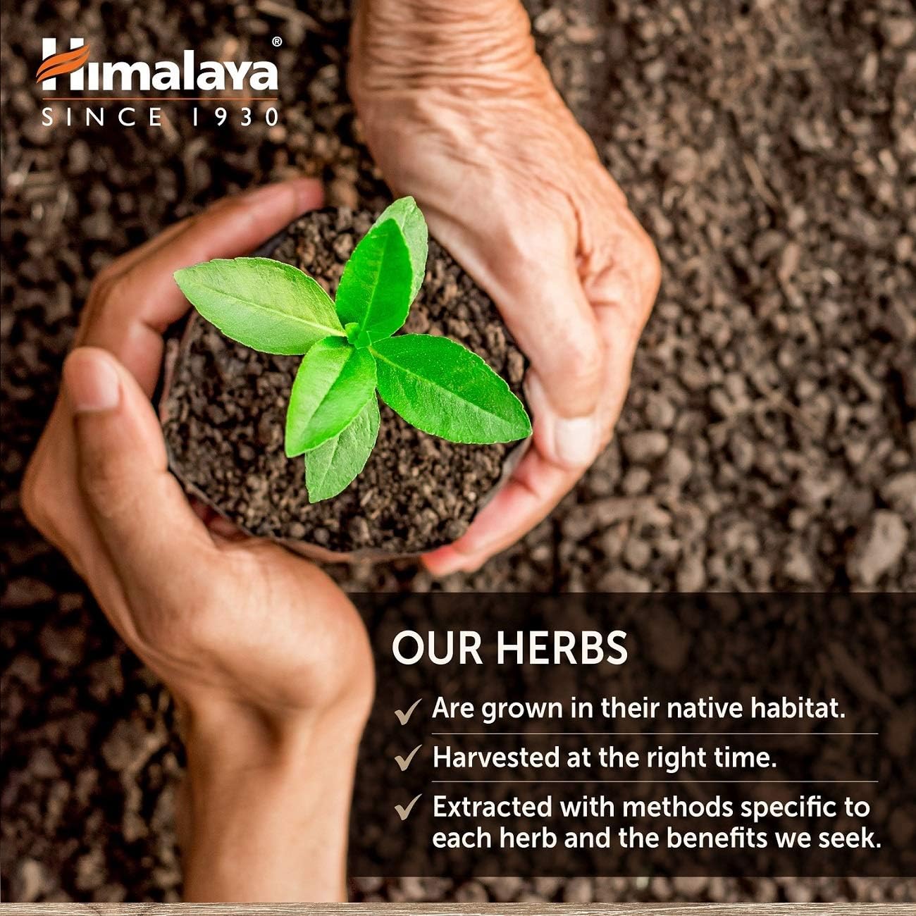 GlucoCare | Himalaya® | 90 Capsules