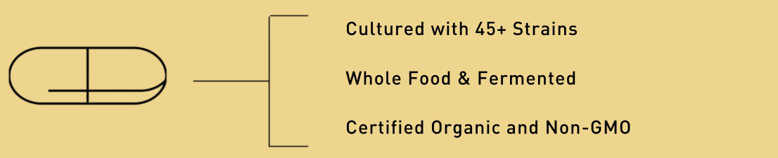 Your Flora® Probiotic Immune | Living Alchemy® | 60 Capsules