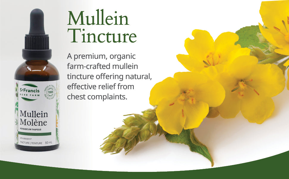 Mullein by St. Francis Herb Farm® – Respiratory & Lung Support Tincture | 50 mL or 100 mL