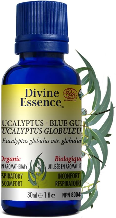 Eucalyptus Essential Oil|Divine Essence® | Different Bottels
