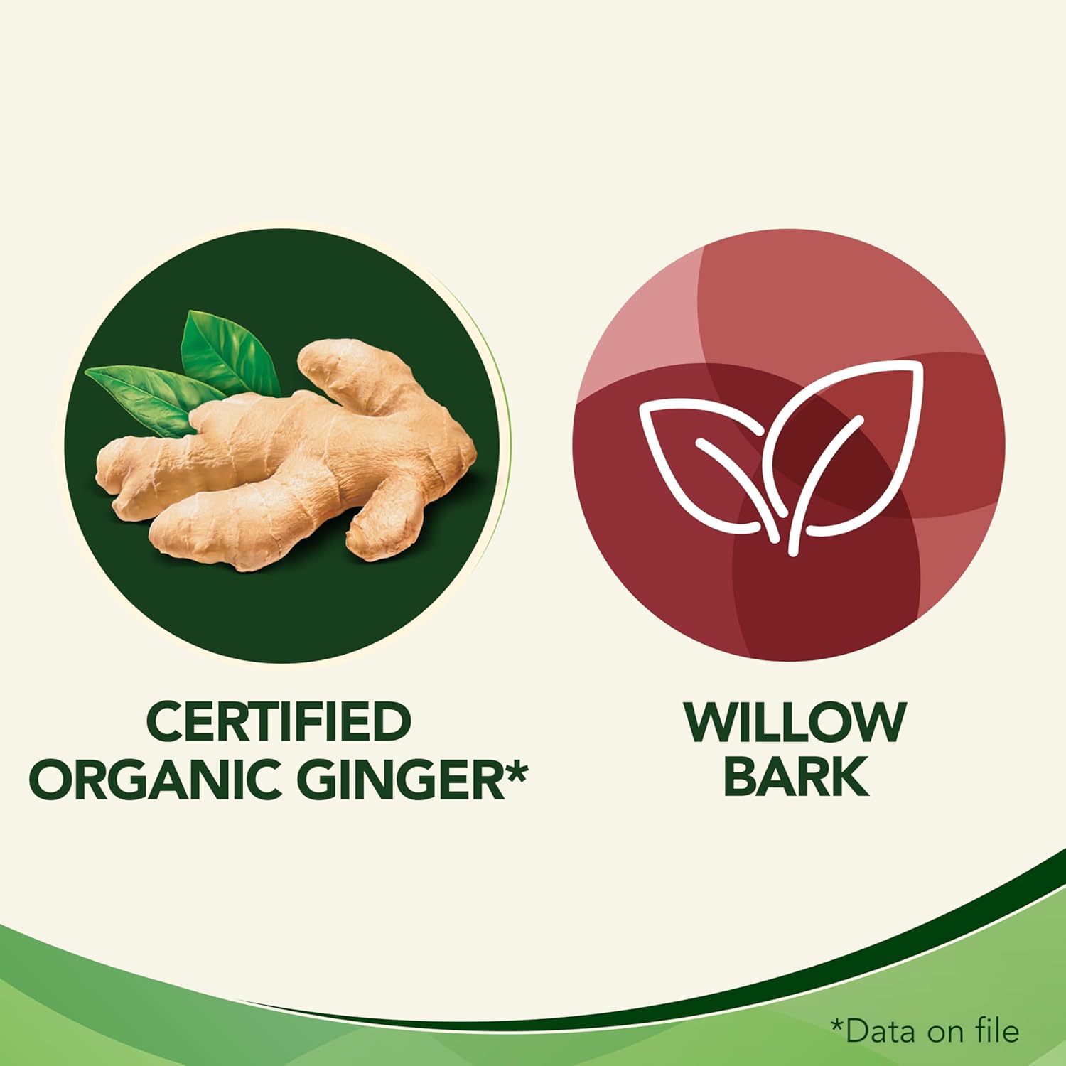 Multi-Symptom Tablet, Made in Canada |Gravol Ginger™| 20 Tab