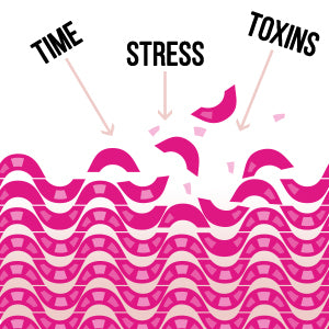 Super Collagen Protein Peptides Plus by NeoCell® – Hair, Skin & Joint Support | 406 g Powder