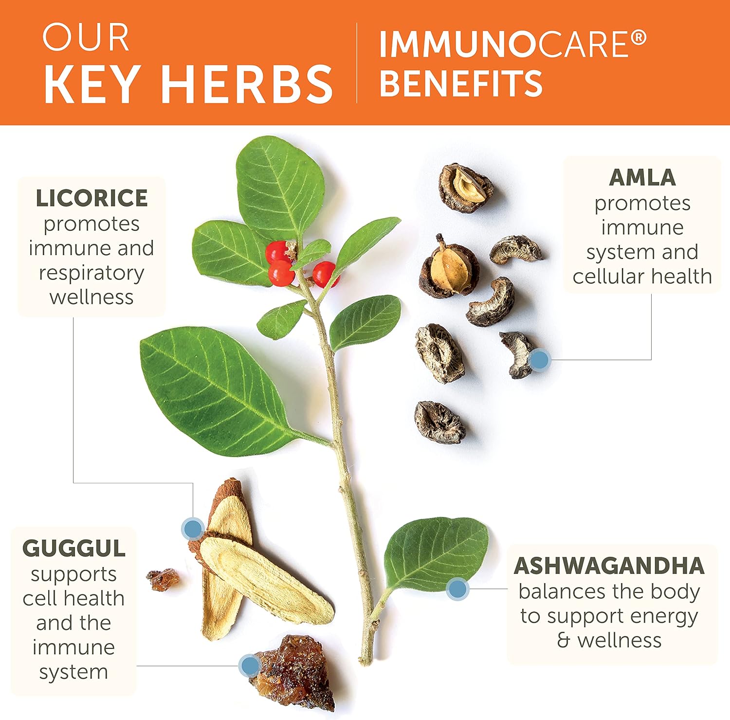 ImmunoCare | Himalaya® |120 Capsules
