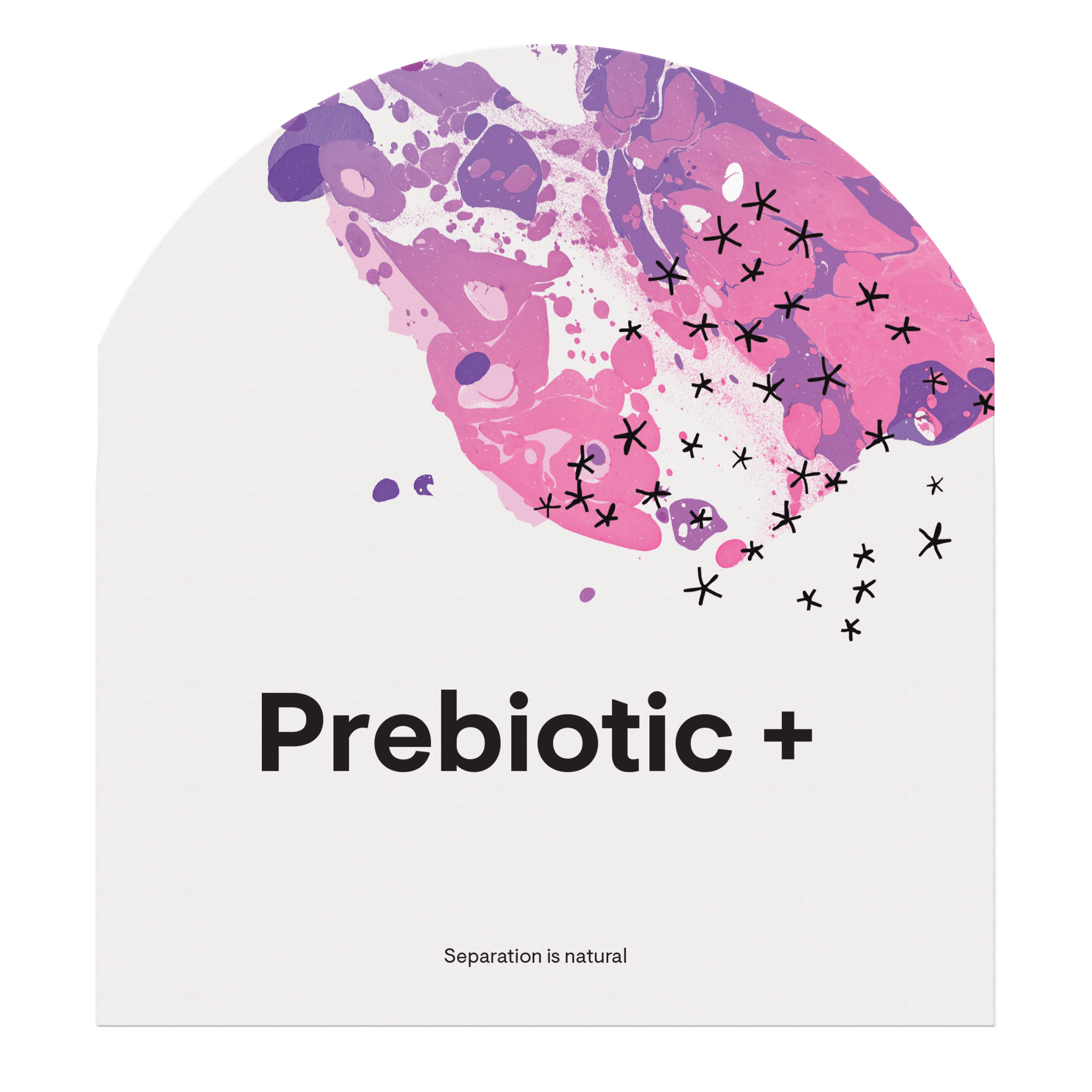 Prebiotic + | Thorne® | 30 Discs