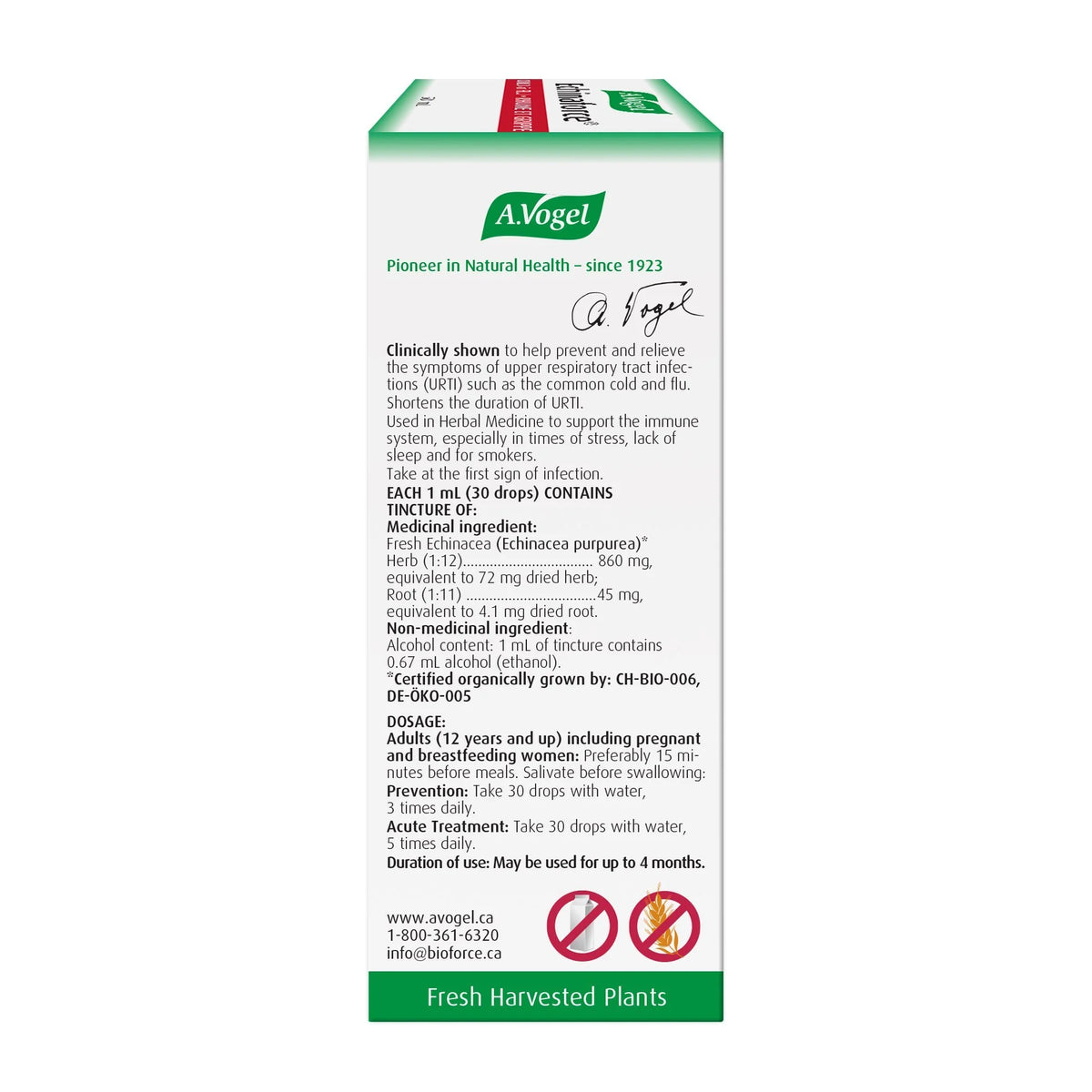 Echinaforce® Extra Hot Drink by A.Vogel® – Cold, Flu & Immune Support | 100 mL