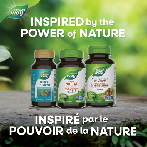 Nettle Herb | Nature's Way® | 100 Capsules