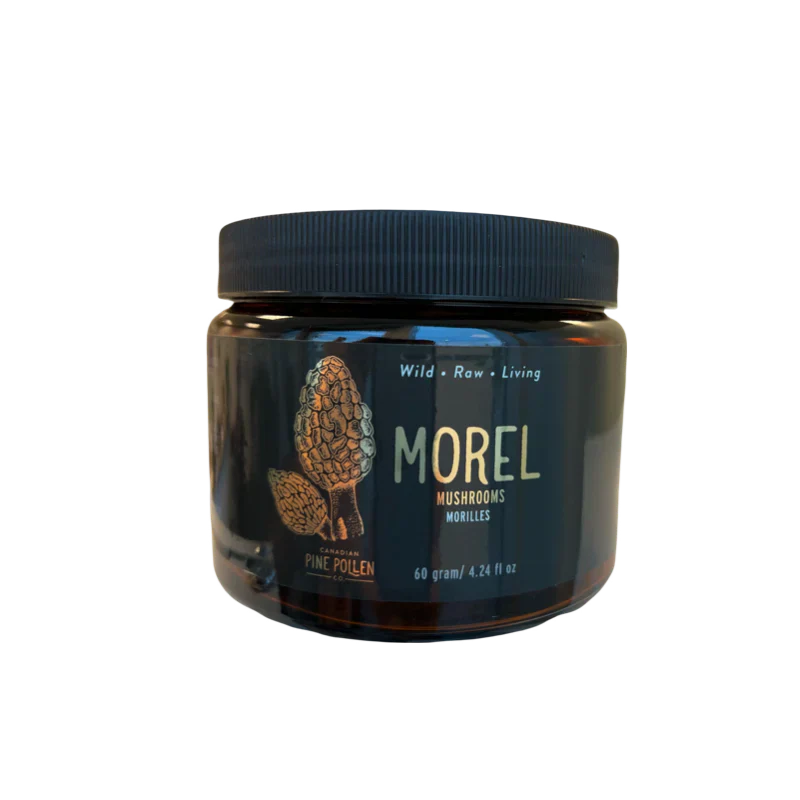 Morel Mushoom | Canadian Pine Pollen® | (60 Gram)