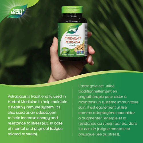 Astragalus Root | Nature's Way Canada | 100 OR 180 Veg Capsules