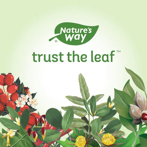 Parsley Leaf | Nature's Way® | 100 Capsules