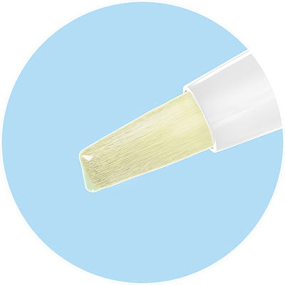 SoftBrush® Tooth & Gum Pain Gel | Kank-A® | 0.07 oz. (2.0 g)