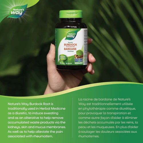 Burdock Root | Nature's Way® | 100 Capsules