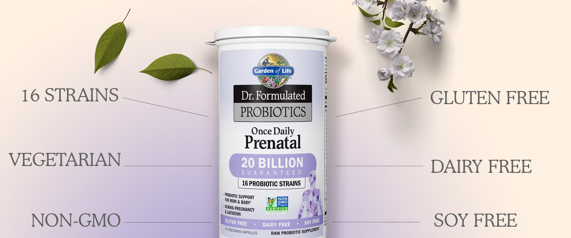 Once Daily Prenatal Shelf Stable | Garden of Life® | 30 Capsules