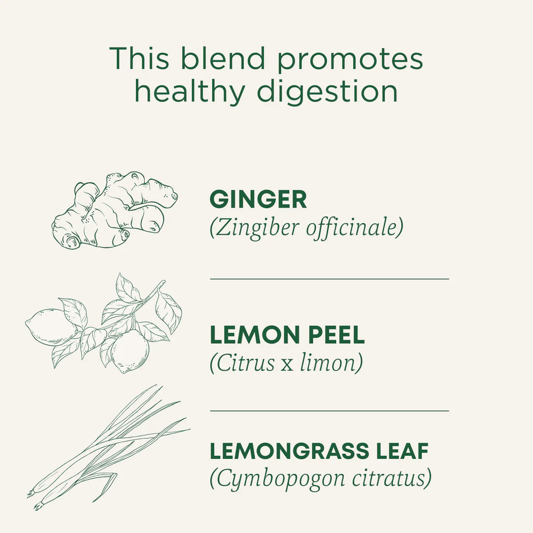 Organic Lemon Ginger Tea | Traditional Medicinals® | 16 Tea Bags