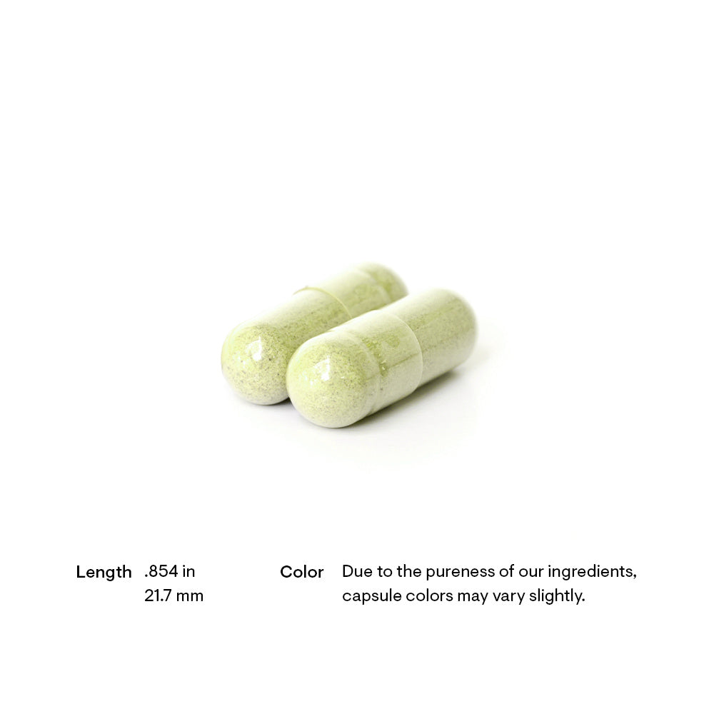 Quercetin Phytosome | Thorne® | 60 Capsules