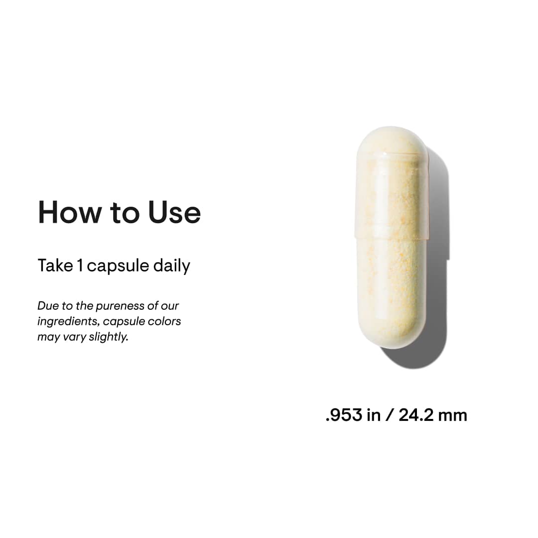 Brain Factors | Thorne® | 30 Capsules