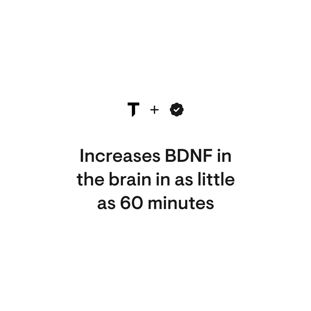 Brain Factors | Thorne® | 30 Capsules