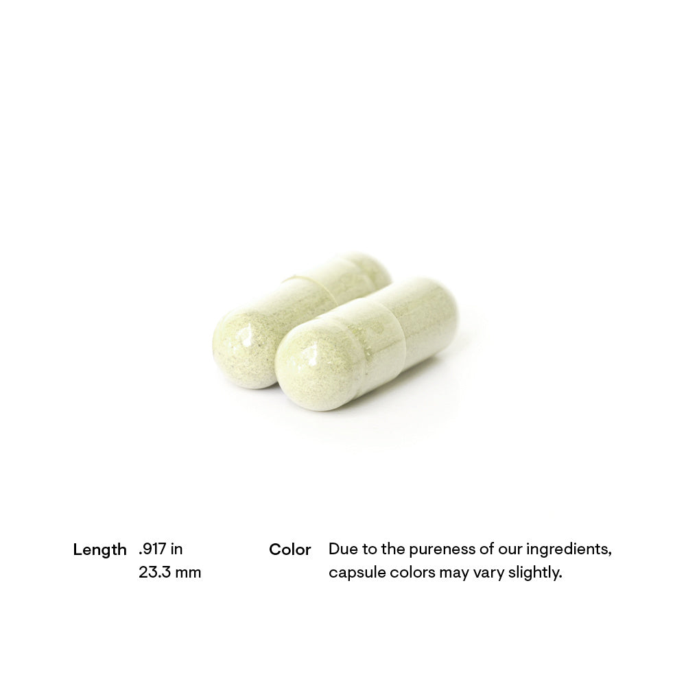 Boswellia Phytosome | Thorne® | 60 Capsules
