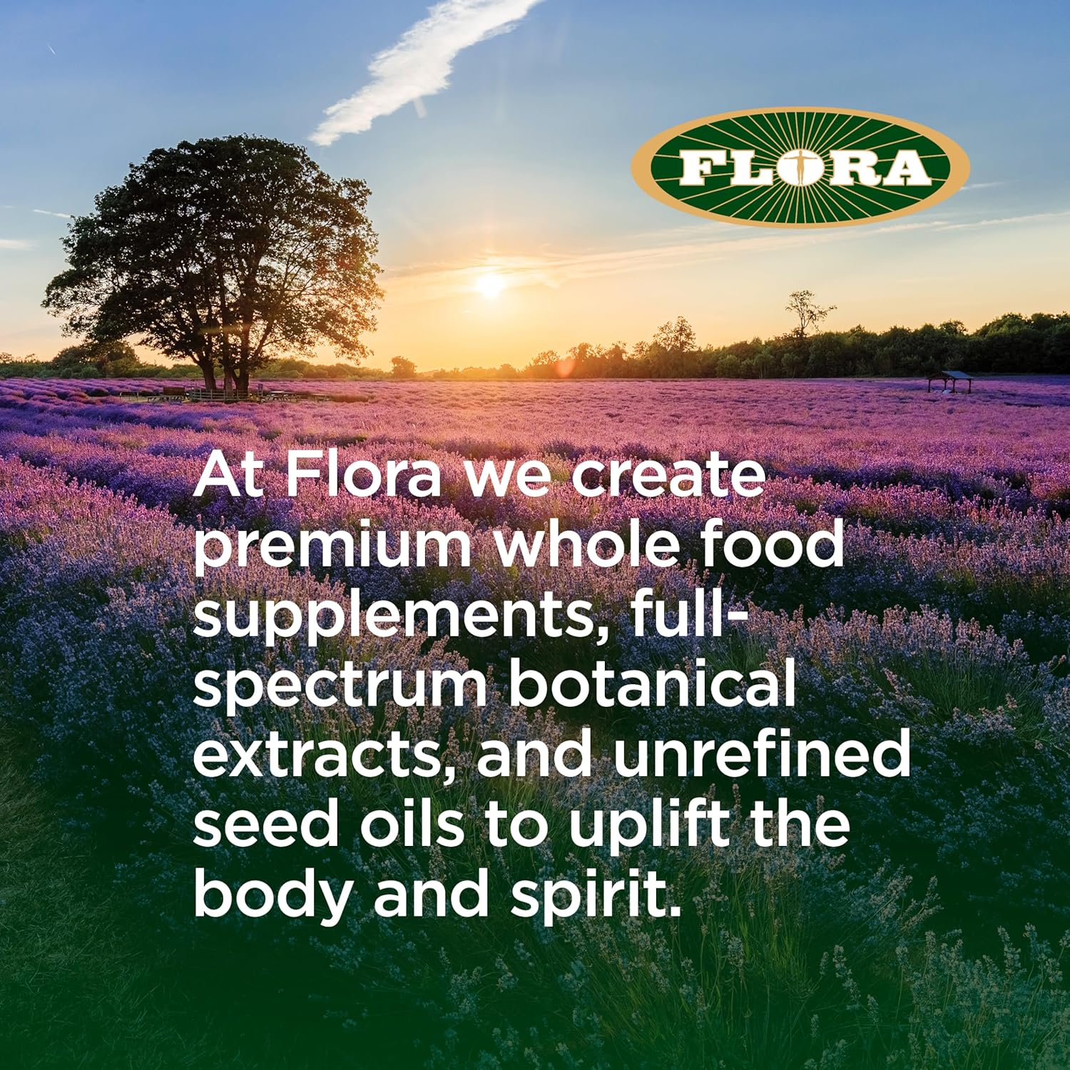 Pure Evening Primrose Oilwith Omega-6 GLA - 1000 mg | Efamol | 90 OR 180 softgel