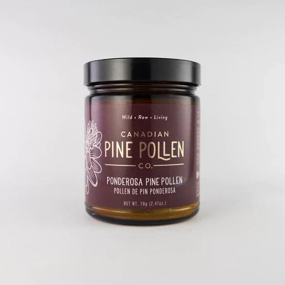 Wild Ponderosa Pine Pollen Powder | Canadian Pine Pollen | 30g (1 oz) OR 70g (2.9 oz)