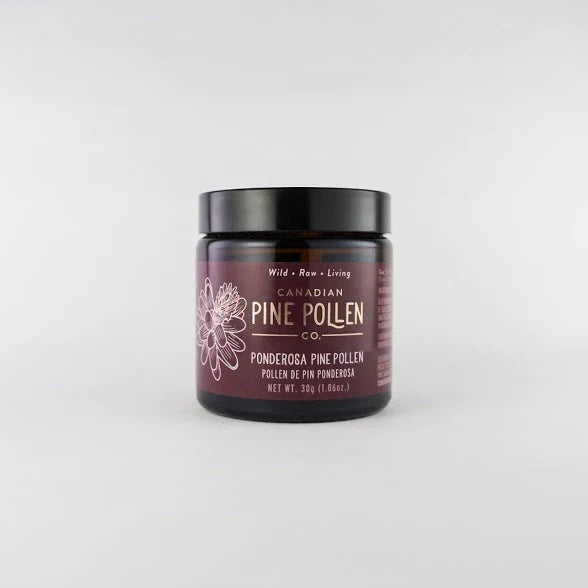 Wild Ponderosa Pine Pollen Powder | Canadian Pine Pollen | 30g (1 oz) OR 70g (2.9 oz)