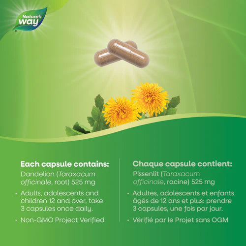 Dandelion Root | Nature's Way® | 100 or 180 Capsules
