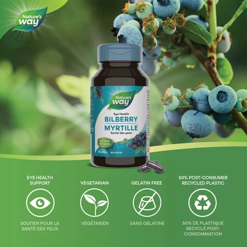 Bilberry | Nature's Way® | 60 Vegetable Capsules