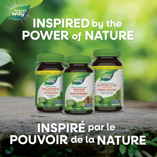 Dandelion Root | Nature's Way® | 100 or 180 Capsules