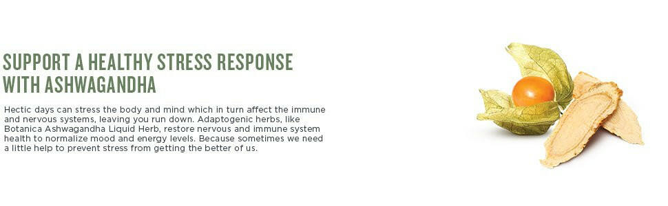 Ashwagandha Liquid Herb Extract Tincture | Botanica | 50 mL - Coal Harbour Pharmacy