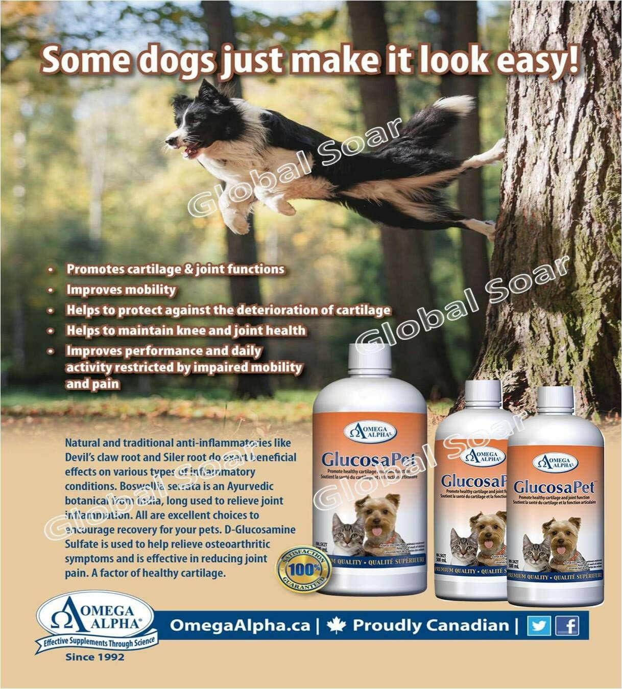 GlucosaPet™ | Omega Alpha® | 500 mL - Coal Harbour Pharmacy