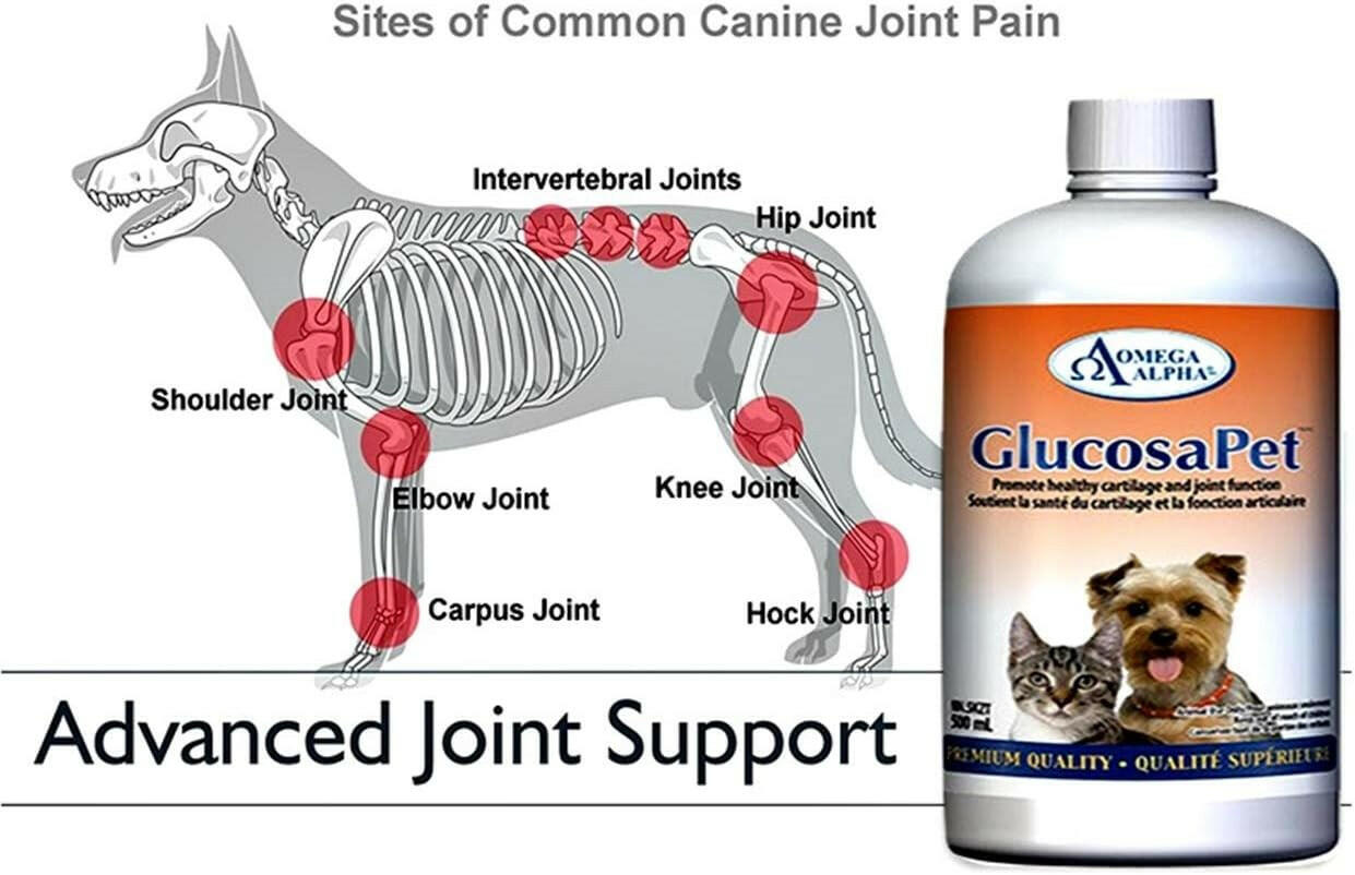 GlucosaPet™ | Omega Alpha® | 500 mL - Coal Harbour Pharmacy