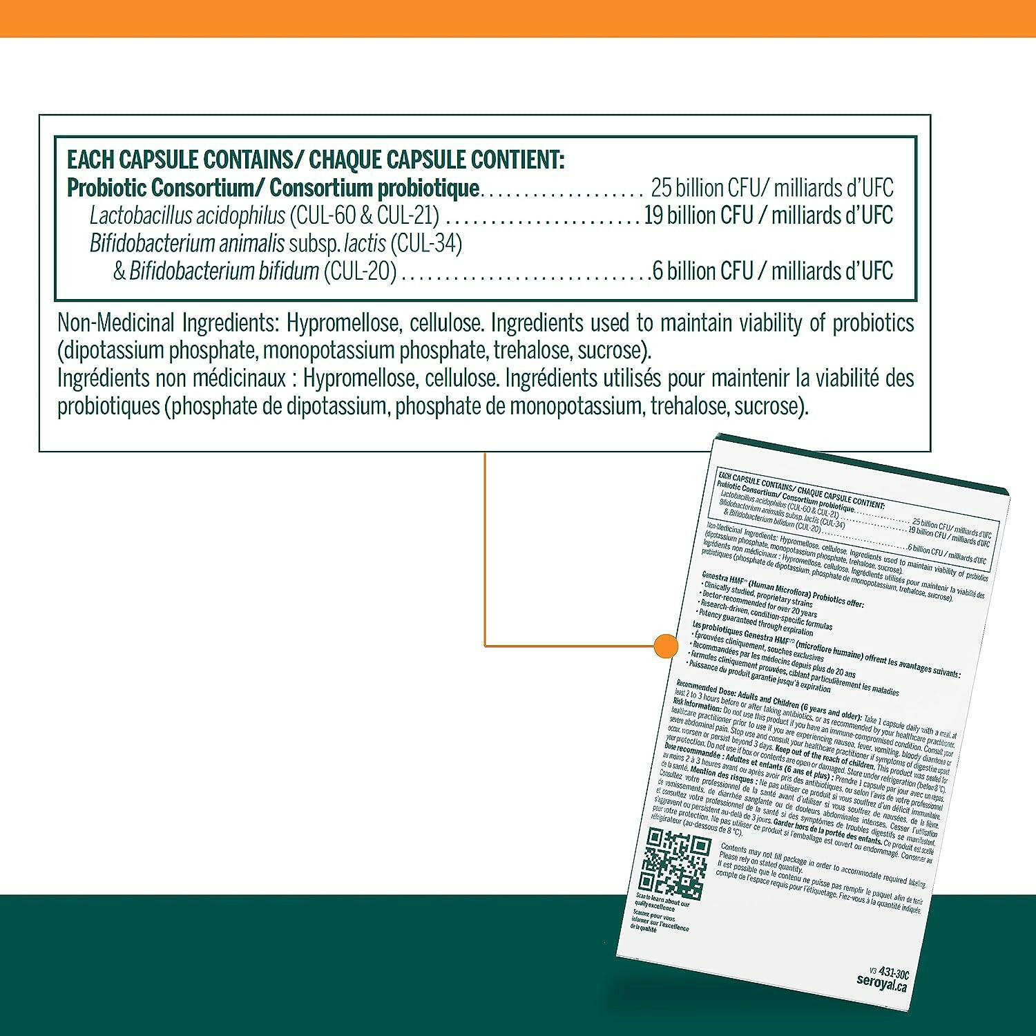 HMF Intensive | Genestra Brands® | 30 Capsules - Coal Harbour Pharmacy
