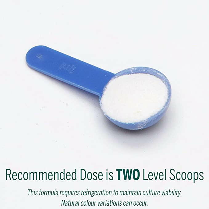 HMF Multi Strain Powder | Genestra Brands® | 60 Grams - Coal Harbour Pharmacy