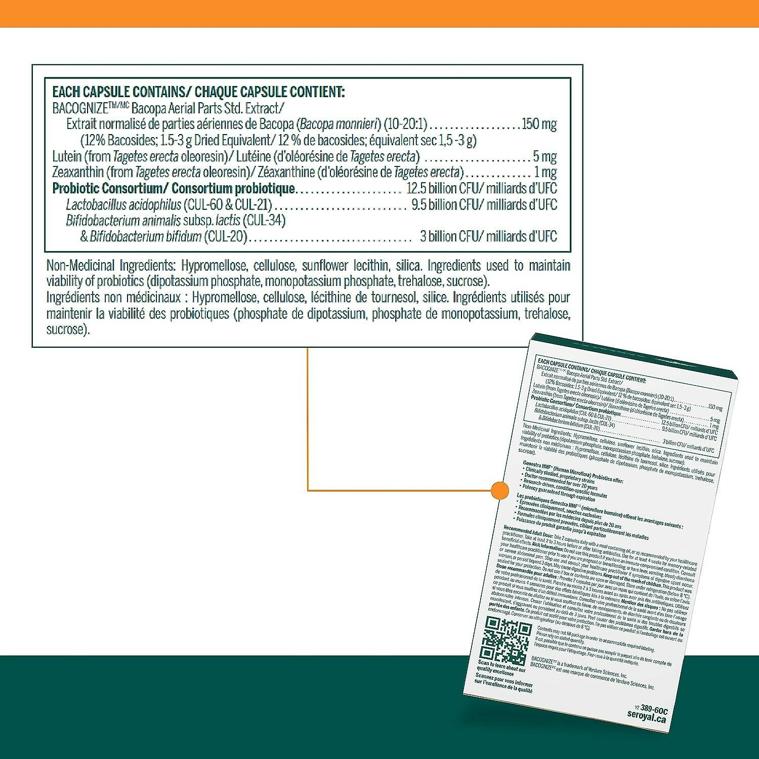 HMF Neuro Cognition | Genestra Brands® | 60 Vegetarian Capsules - Coal Harbour Pharmacy