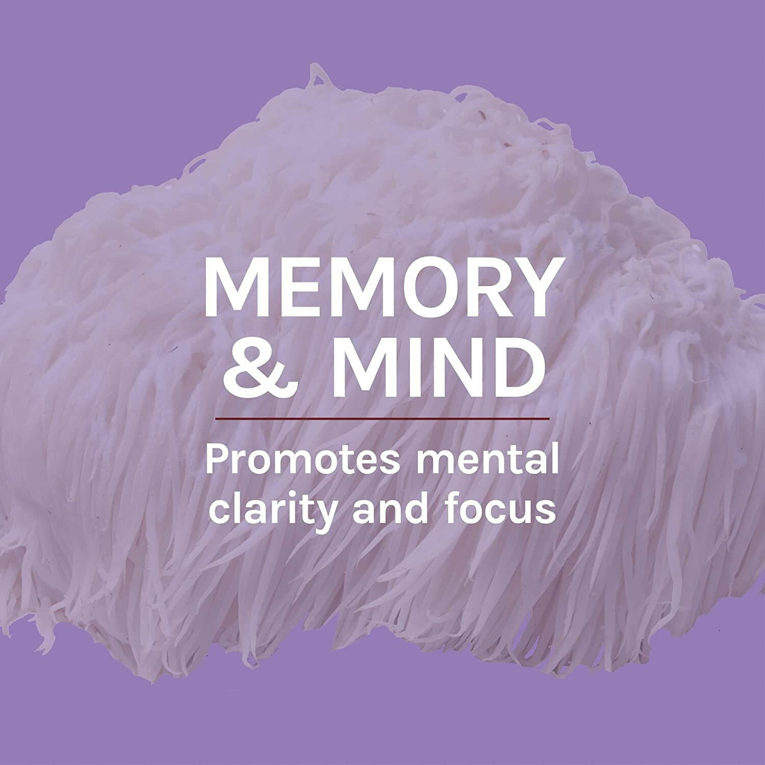 Lion's Mane Capsules | Host Defense® Mushrooms™ | 60 Vegetarian Capsules - Coal Harbour Pharmacy