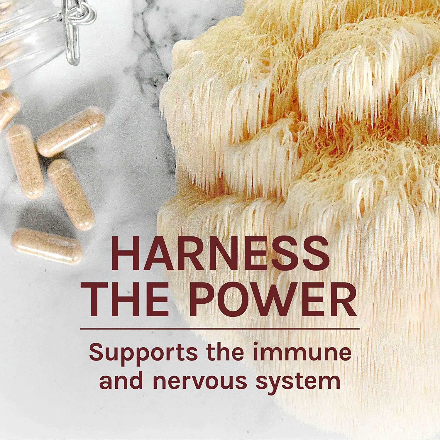 Lion's Mane Capsules | Host Defense® Mushrooms™ | 60 Vegetarian Capsules - Coal Harbour Pharmacy