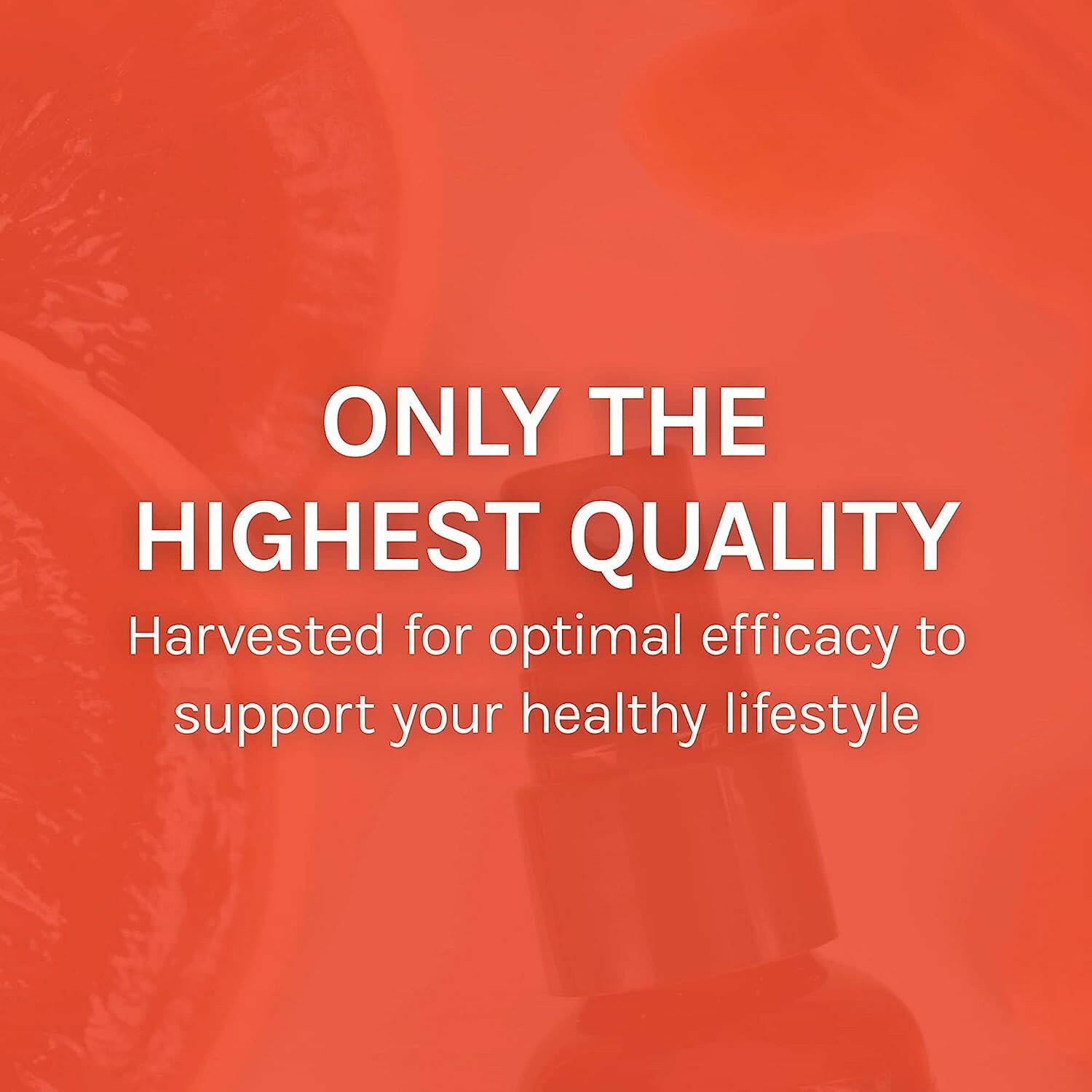 MycoShield® Cinnamon Spray | Host Defense® Mushrooms™ | 30 mL (1 fl oz)