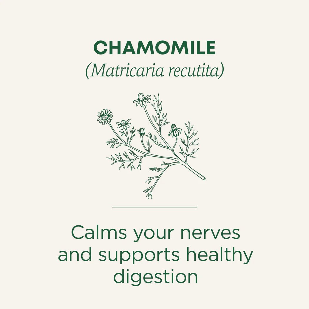 Organic Chamomile Tea | Traditional Medicinals® | 16 Tea Bags