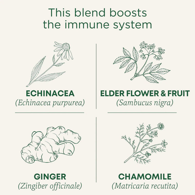 Organic Echinacea Plus® Elderberry Tea | Traditional Medicinals® | 16 Tea Bags