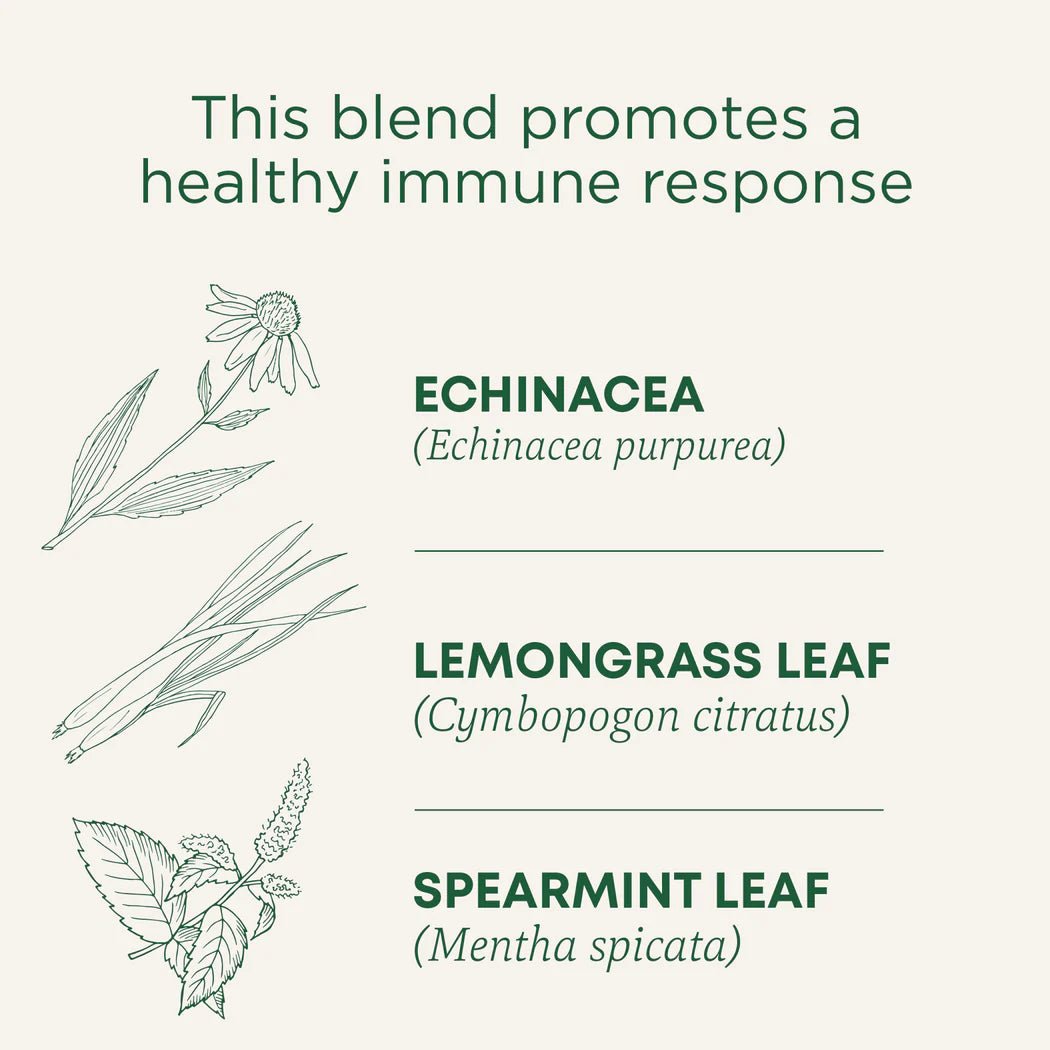 Organic Echinacea Plus® Tea | Traditional Medicinals® | 16 Tea Bags