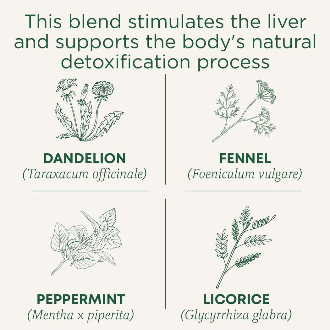 Organic EveryDay Detox® Dandelion Tea | Traditional Medicinals® | 16 Tea Bags