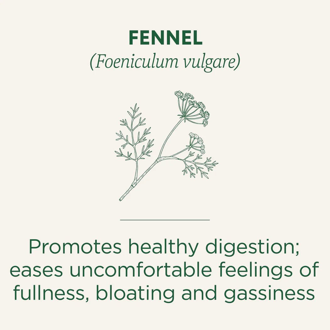 Organic Fennel Tea | Traditional Medicinals® | 16 Tea Bags