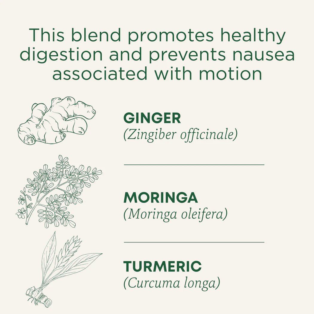 Organic Ginger Aid® Tea | Traditional Medicinals® | 16 Tea Bags