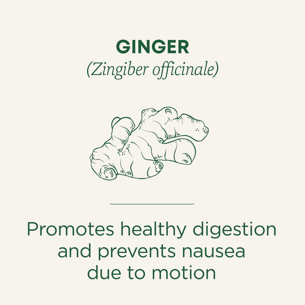 Organic Ginger Tea | Traditional Medicinals® | 16 Tea Bags
