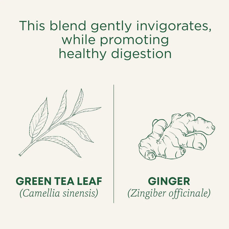 Organic Green Tea Ginger | Traditional Medicinals® | 16 Tea Bags