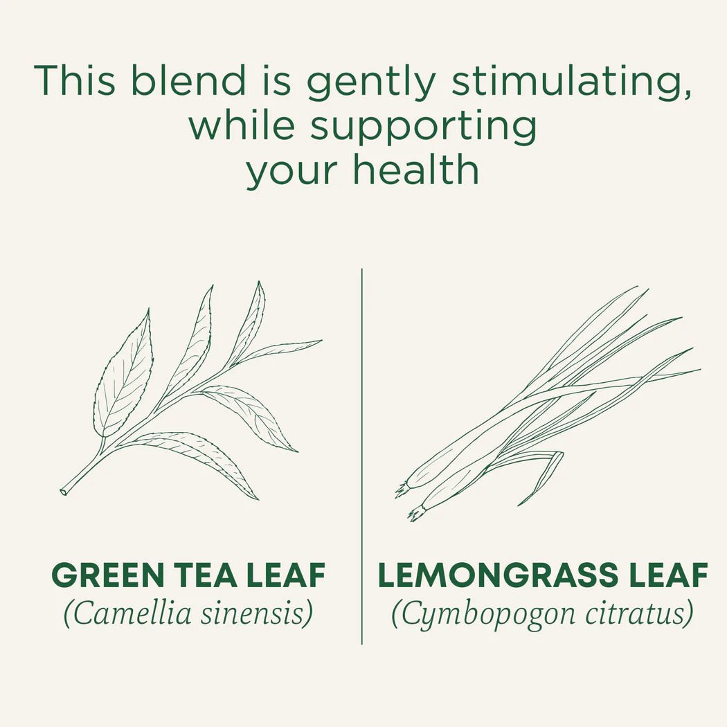 Organic Green Tea Lemongrass | Traditional Medicinals® | 16 Tea Bags