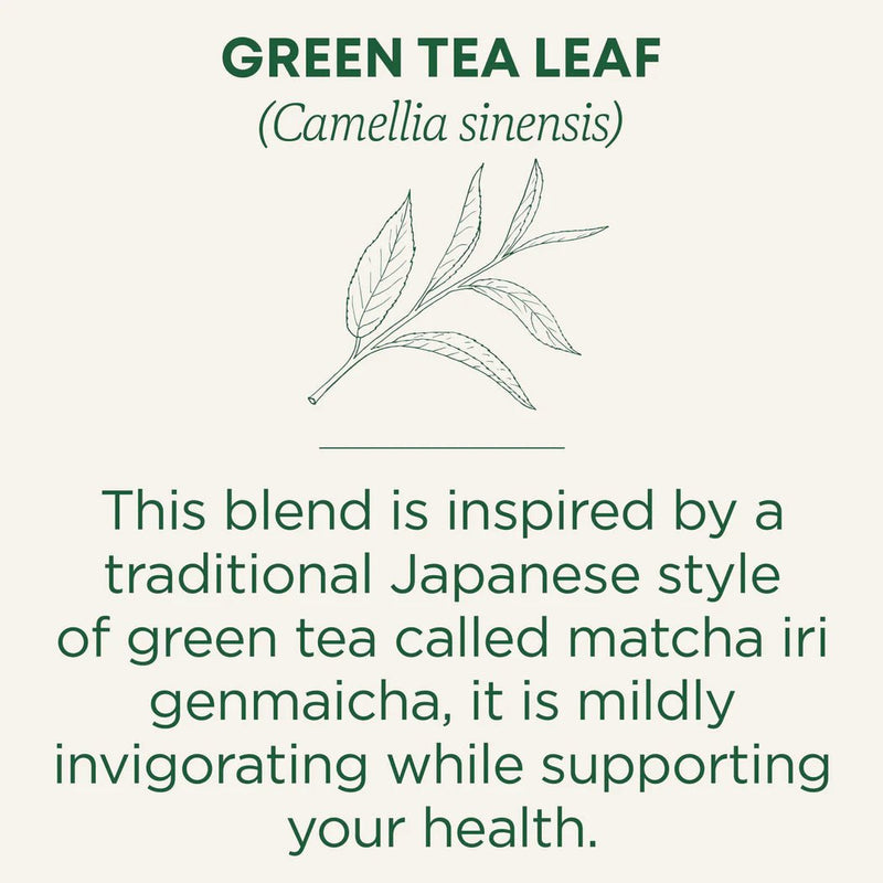 Organic Green Tea Matcha | Traditional Medicinals® | 16 Tea Bags