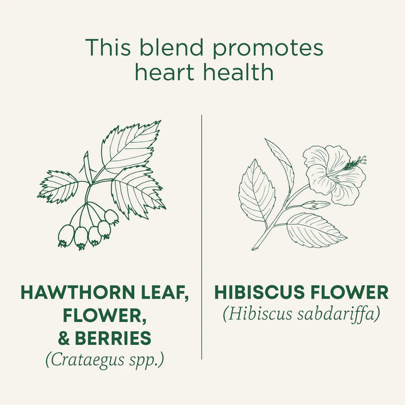 Organic Hawthorn & Hibiscus Tea | Traditional Medicinals® | 16 Tea Bags